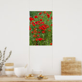 Feld der roten Mohnblumen Poster (Küche)