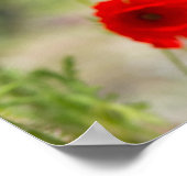 Feld der roten Mohnblumen Poster (Ecke)
