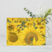 Feld der Sonnenblume-Einladung Einladung (Stehend Vorderseite)