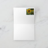 Feld der Sonnenblumen (Innenseite)