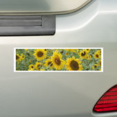 Feld der Sonnenblumen Autoaufkleber (Auf Auto)