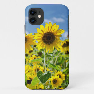 Feld der Sonnenblumen Case-Mate iPhone Hülle