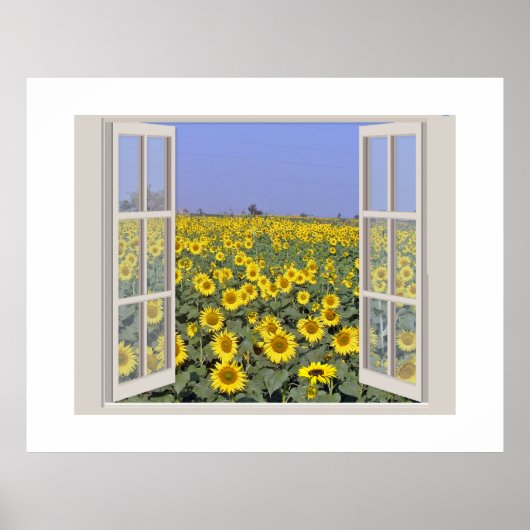 Feld der Sonnenblumen durch ein offenes Fenster be Poster (Vorne)