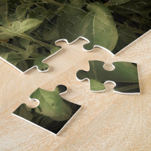 Feld der Sonnenblumen Fotografie Puzzle (Seite)