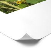 "FELD DER SONNENBLUMEN" POSTER (Ecke)