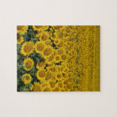 Feld der Sonnenblumen Puzzle (Horizontal)