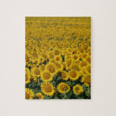 Feld der Sonnenblumen Puzzle (Vertikal)
