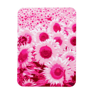 Feld der Sonnenblumen - Schatten des pinkfarbenen Magnet
