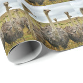 Feld der Strauße Geschenkpapier (Rolleneckpunkt)