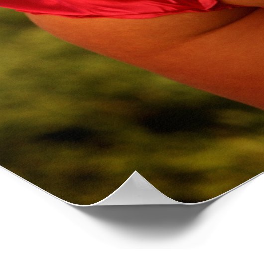 Feld der Träume! Poster (Ecke)