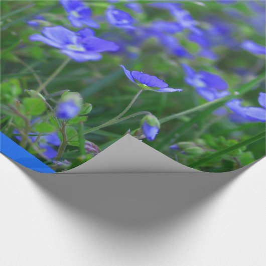 Feld der Vergissmeinnichte Geschenkpapier (Ecke)