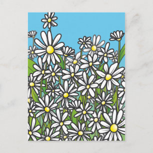 Feld der weißen Blume Postkarte