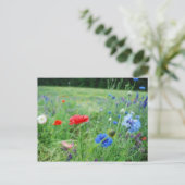 Feld der Wildblumen Postkarte (Stehend Vorderseite)