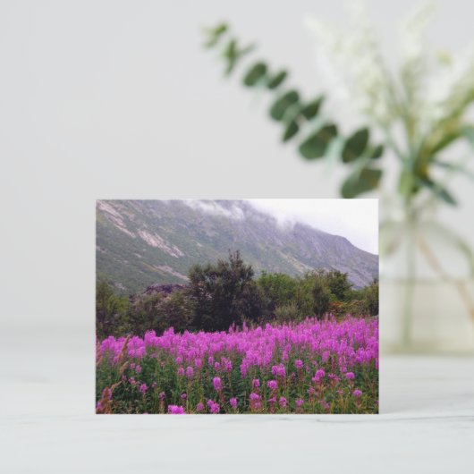 Feld der wilden Blumen nähern sich Bodo, Norwegen Postkarte (Stehend Vorderseite)