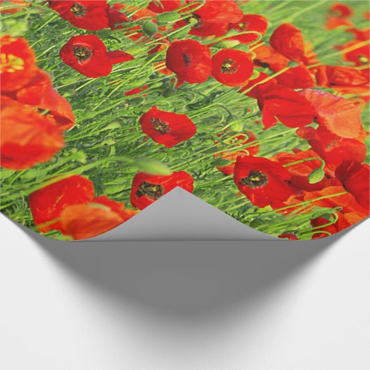 Feld der wilden roten Mohnblumen Geschenkpapier (Ecke)