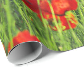 Feld der wilden roten Mohnblumen Geschenkpapier (Rolleneckpunkt)