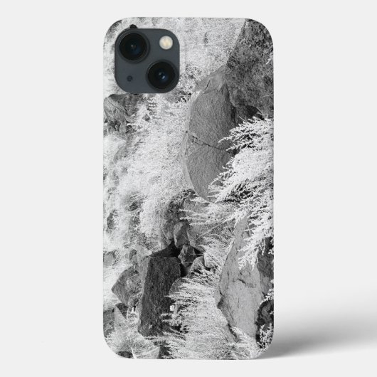 Feld des Basalts Case-Mate iPhone Hülle (Rückseite)