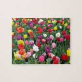 Feld des bunten Tulpe-Puzzlespiels Puzzle (Horizontal)
