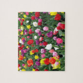 Feld des bunten Tulpe-Puzzlespiels Puzzle (Vertikal)