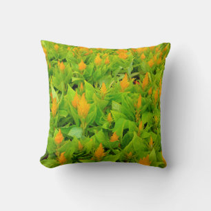 Feld des Celosia Pillow Kissen