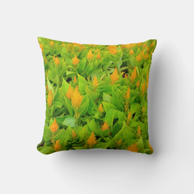 Feld des Celosia Pillow Kissen (Vorderseite)