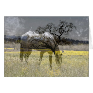 Feld des Goldes