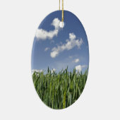 Feld des jungen Mais Keramikornament (Rechts)