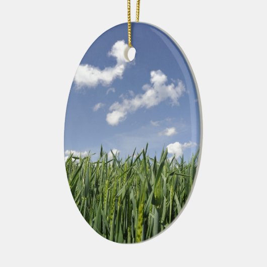 Feld des jungen Mais Keramikornament (Links)