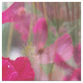 Feld des Kosmos...... Stoff (Nahaufnahme)