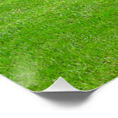 Feld des perfekten Posters aus Gras Poster (Ecke)