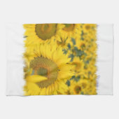 Feld des Sonnenblume-Geschirrtuchs Handtuch (Horizontal)