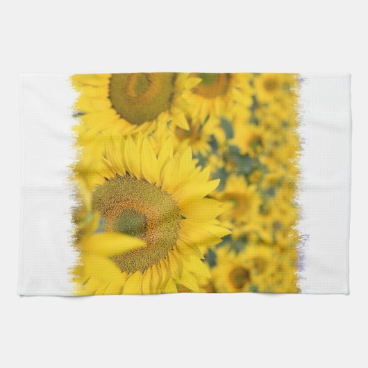 Feld des Sonnenblume-Geschirrtuchs Handtuch (Horizontal)