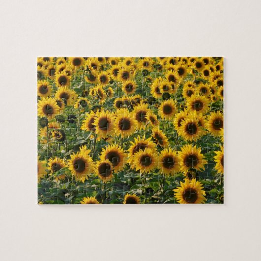 Feld des Sonnenblumen Puzzle (Horizontal)