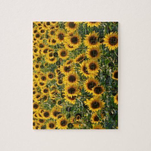 Feld des Sonnenblumen Puzzle (Vertikal)