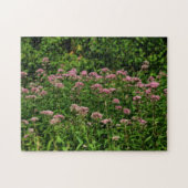 Feld des süßen Joe Pye Weed Blume Orton Puzzle (Horizontal)