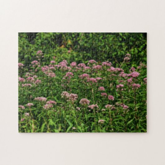 Feld des süßen Joe Pye Weed Blume Orton Puzzle (Horizontal)