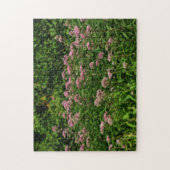 Feld des süßen Joe Pye Weed Blume Orton Puzzle (Vertikal)