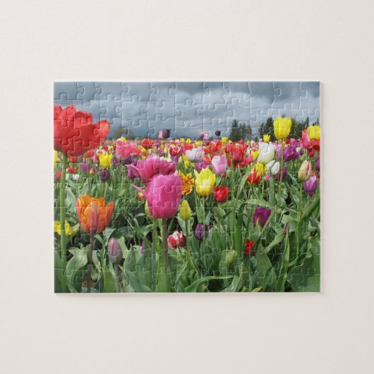 Feld des Tulpe-Puzzlespiels Puzzle (Horizontal)