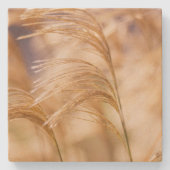 Feld des Weizen-Sandstein-Untersetzer Steinuntersetzer (Vorderseite)