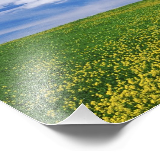 Feld für Kanola oder Senfffische, Palouse Fotodruck (Ecke)