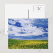 Feld für Kanola oder Senfffische, Palouse Postkarte (Vorne/Hinten)