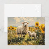 Feld für Schaf- und Lamellensonnenblumen Postkarte (Vorne/Hinten)