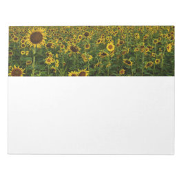 Feld für Sonnenblumen Notizblock