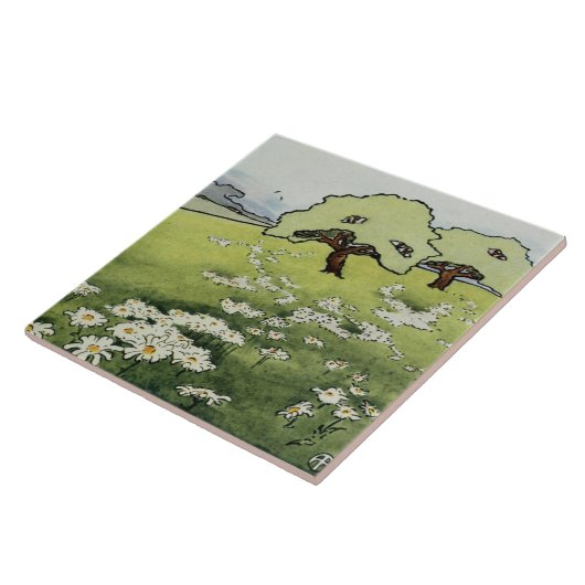 Feld-Gänseblümchenfliese Fliese (Seite)