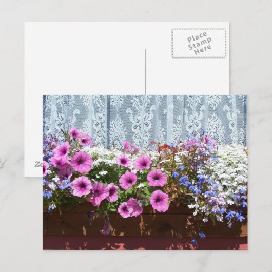 Feld "hübsche Blume" Postkarte (Vorne/Hinten)