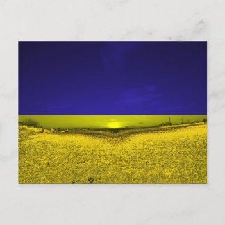 Feld in Farben der Ukraine Postkarte