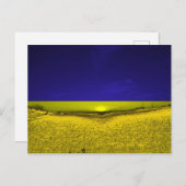 Feld in Farben der Ukraine Postkarte (Vorne/Hinten)