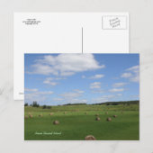 Feld in PEI-Postkarte Postkarte (Vorne/Hinten)