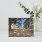 Feld leerer Stühle Postkarte (Stehend Vorderseite)