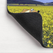 Feld-Maus Mousepad (Ecke)